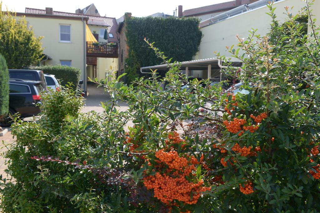 Hotel-Pension Mandy - Adults Only Senftenberg Extérieur photo