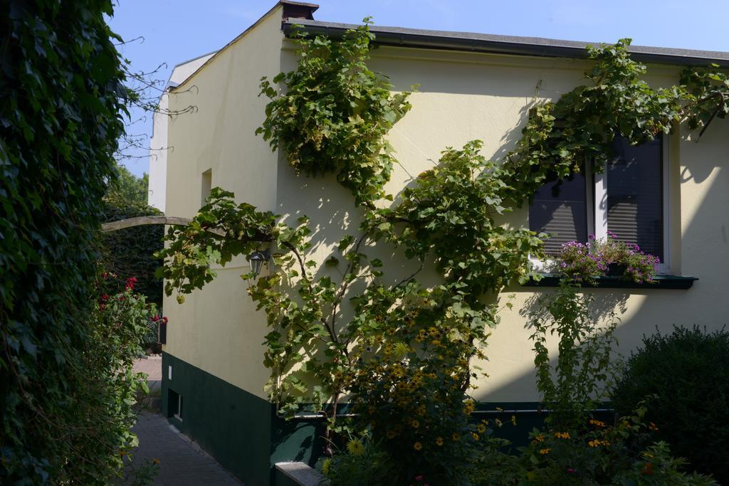 Hotel-Pension Mandy - Adults Only Senftenberg Extérieur photo